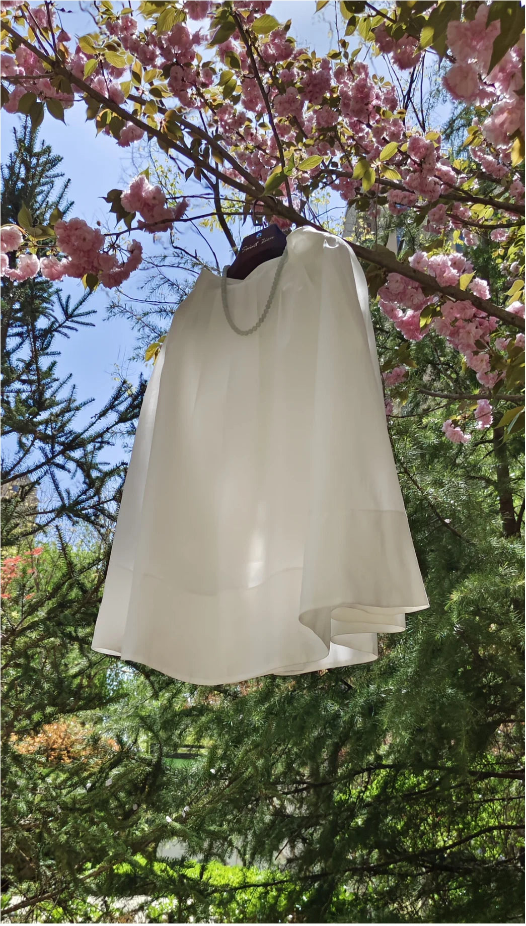 S853c9ab0a8564d2aa9a50ce257686bfdg